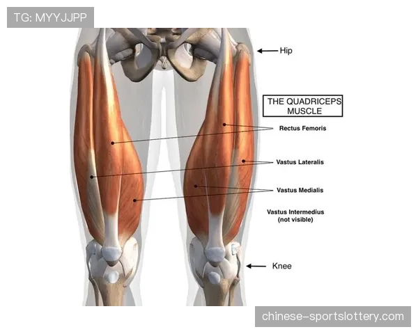 格林伍德左大腿股四头肌受伤，马赛锋线遭遇打击